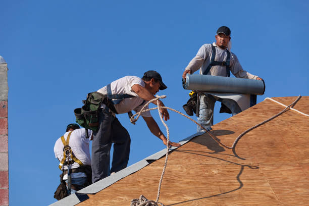 Quick and Trustworthy Emergency Roof Repair Services in Lauderhill, FL