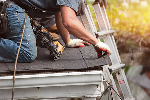 Best Storm Damage Roof Repair  in Lauderhill, FL